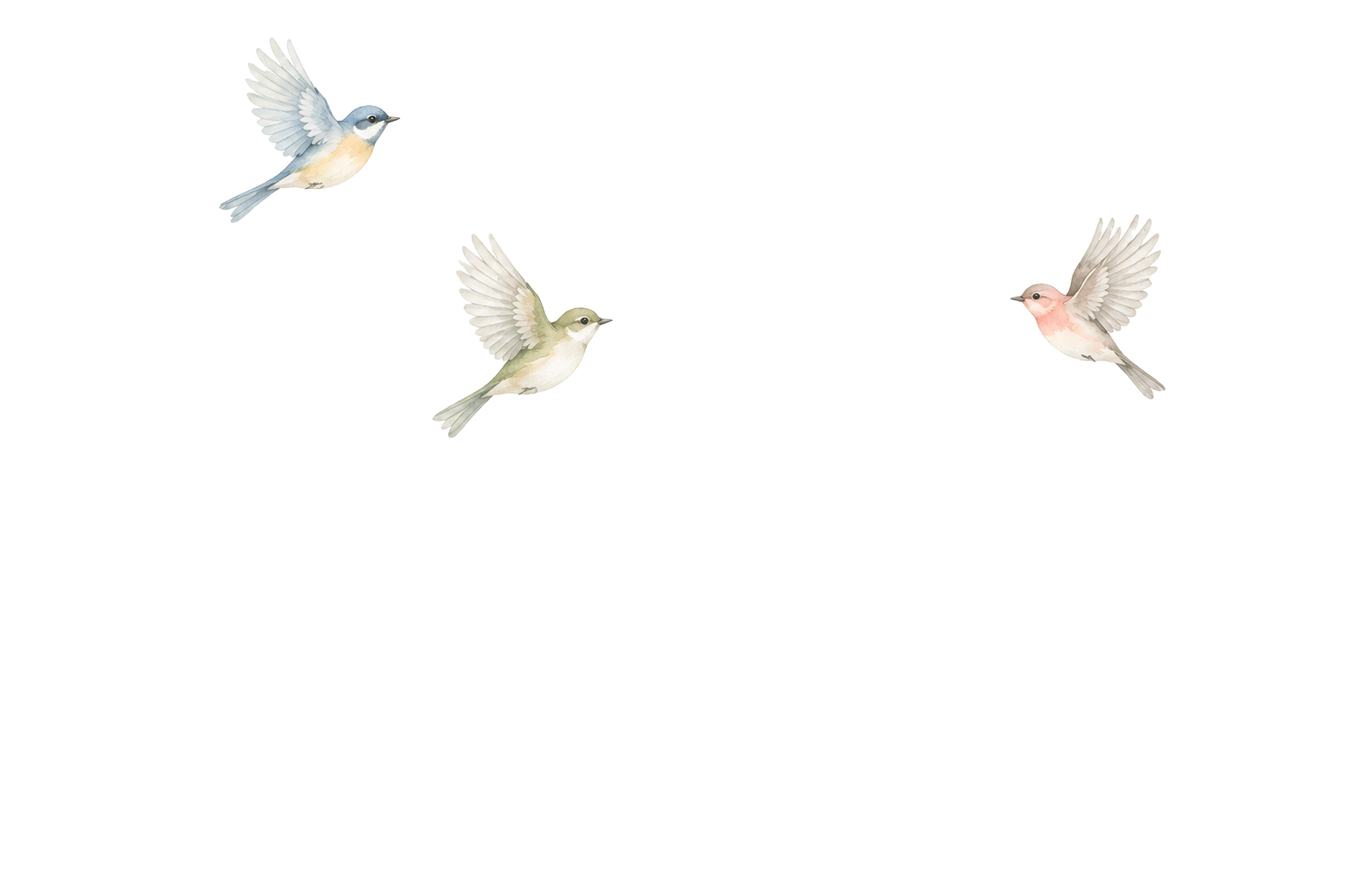 Pájaros en acuarela volando
